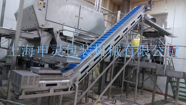 食品級(jí)網(wǎng)帶輸送機(jī)